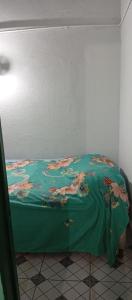 Bett in einem Zimmer mit grüner Decke in der Unterkunft Ultra in Ituzaingó