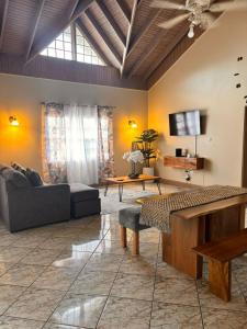a living room with a couch and a tv at Mayas Apartment in Montego Bay