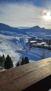 Naturlandskabet i nærheden af lejligheden