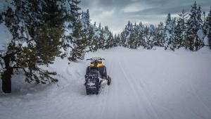 Una moto de nieve está conduciendo a través de un bosque cubierto de nieve en Cub Garden, en Island Park 24 fotos más