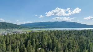 an aerial view of a lake and a forest at Alpine Breakwater in Alpine