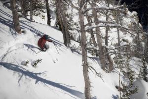 a person is skiing down a snow covered slope at Alpine Breakwater in Alpine