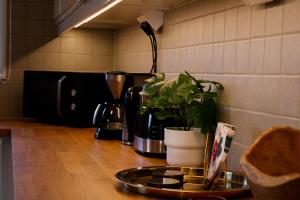 a kitchen counter with a coffee maker and a plant at Boende i Målaskog, near the lake, boat, big garden in Ryssby
