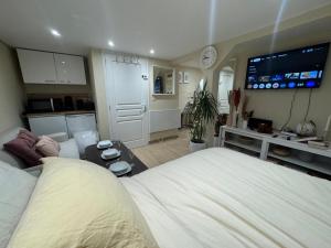 a bedroom with a large bed and a living room at Appartement F1 duplex rez de chaussée in Illkirch-Graffenstaden