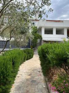 Κήπος έξω από το Apartments in Skrbcici - Insel Krk 51200