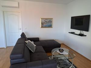 TV a/nebo společenská místnost v ubytování Apartments with a parking space Povljana, Pag - 6296