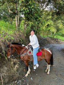 Kobieta jeżdżąca konno po polnej drodze w obiekcie Coffee Tour, Colombia Aranzazu Caldas- Andean Motmot coffee w mieście Aranzazu