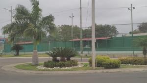 a street with two palm trees and a building at Relajate en Manta, habitacion y piscina in Manta +1 photo
