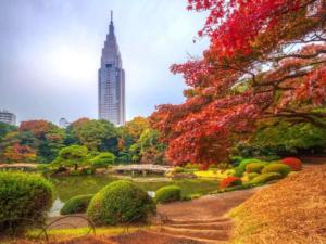 a park with a pond and a tall building at Shinjuku/Shin-Okubo Sta 2min walk/Kabukicho 5 min in Tokyo