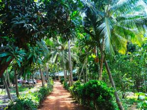 Um jardim no exterior de Samant Beach Resort