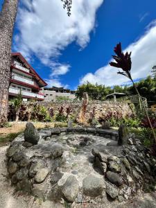 Zahrada ubytování Log Cabin Hotel - Baguio + 37 fotografií