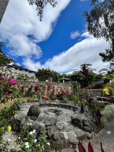 Zahrada ubytování Log Cabin Hotel - Baguio