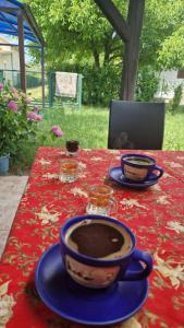 Fotografie z fotogalerie ubytování Garic v destinaci Veliko Gradište + 1 fotografie