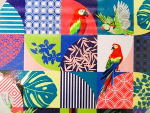 Άλλα ζώα σε αυτό το διαμέρισμα ή στη γύρω περιοχή