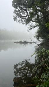 Imagen de la galería de Mynas Nest Riverside Homestay, en Siddapur