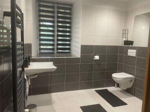 a bathroom with a toilet and a sink at Le Moulin de Vilaine in Châteauroux