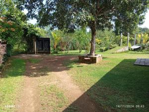 Сад в Rukgaha Thotupola Nature Villa at Bolgoda