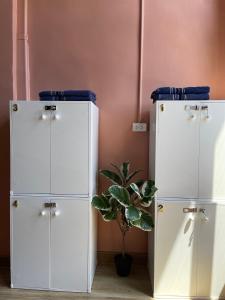 two white cabinets in a room with a plant at Plearn Phuket Boutique Hostel in Ban Lo Long