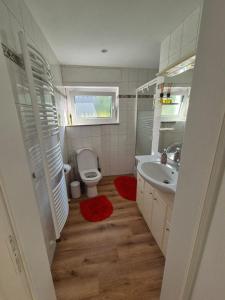 a bathroom with a toilet and a sink at Kezara Living in Konz +20 photos