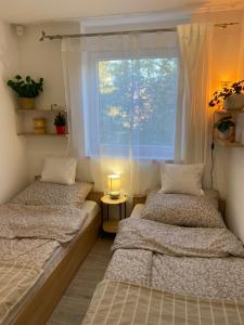 Postel nebo postele na pokoji v ubytování Bona Casa Vendégház