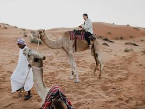 a man is riding a camel in the desert at Desert waves camp in Badīyah