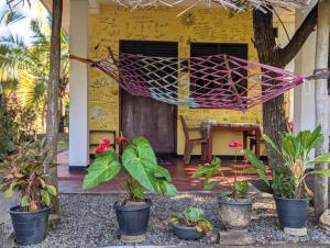 a porch of a house with plants and a hammock at Three Little Birds in Tangalle