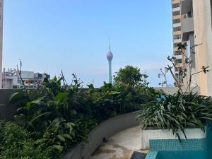 einen Garten an der Seite eines Gebäudes mit Pflanzen in der Unterkunft Colombo luxury two bedroom Apartments Trizen in Colombo