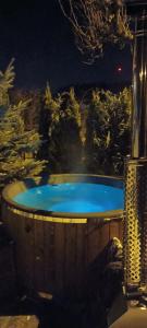 斯维诺乌伊希切Studio Robi 18m2的花园内的热水浴池