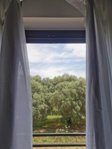 Gallery image of Casa Pélagos a 50mt dal mare in Nicotera Marina