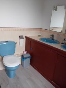 a bathroom with a blue toilet and a sink at Chambre de la Vigne in Blesmes +7 photos
