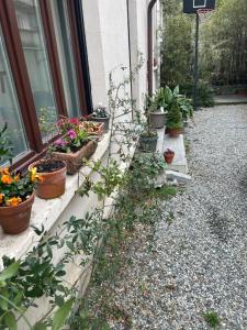 Vonkajšia záhrada v ubytovaní Loft Crimea con patio