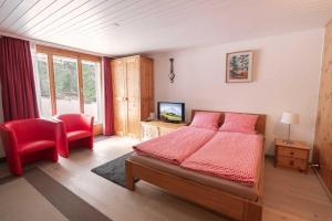 TV a/nebo společenská místnost v ubytování MOM - Alpine Boutique Apartments, Grindelwald gletscher, Eiger View Terrace Studio