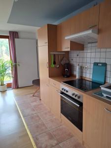 Kuchyň nebo kuchyňský kout v ubytování Ferienwohnung Am Wald