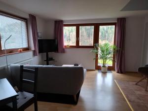 TV a/nebo společenská místnost v ubytování Ferienwohnung Am Wald