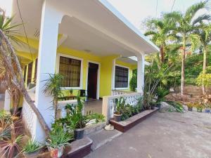 una casa gialla e bianca con palme e piante di MJ Homestay a Coron