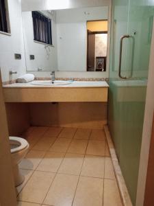 une salle de bain avec un lavabo et des toilettes dans l'établissement Family lodges, à Islamabad
