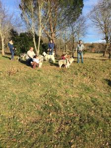a group of people with dogs in a field at Appartement SAB in Issel