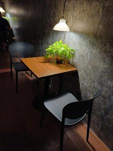 Fotografie z fotogalerie ubytování HOME 8b v destinaci Cái Răng