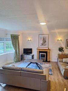 a living room with a couch and a fireplace at Flesk River 22 in Killarney