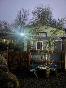 a tree in a pot in front of a house at Lakes Escapes in Lamplugh