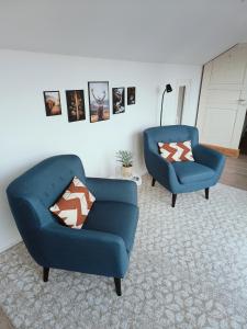 2 blaue Stühle im Wohnzimmer in der Unterkunft Hegauzauber in Tengen