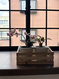 東京的住宿－Mark的小岩民宿，相簿中的一張相片