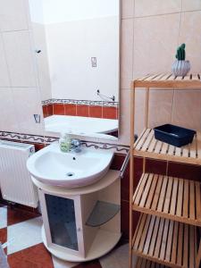 a bathroom with a sink and a mirror at Chili Apartman in Harkány +13 photos
