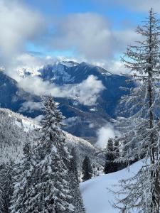 two snow covered trees on a snow covered mountain at Appartement pour 8 terrasse et Parking in Vionnaz