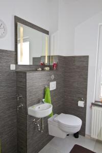 a bathroom with a toilet and a sink and a mirror at Ferienhaus Pilse 3 in Erfurt +22 photos