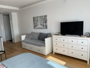 TV a/nebo společenská místnost v ubytování Manhattan studio A blok
