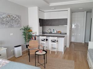 Kuchyň nebo kuchyňský kout v ubytování Manhattan studio A blok + 11 fotografií