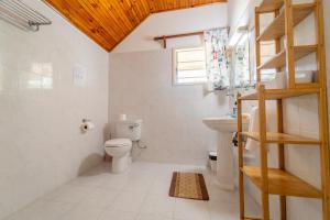 un baño con inodoro y lavabo en Bonnen Kare, en Grand Anse