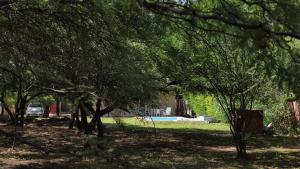 a group of trees in a park with a pool at Finca con pileta Lasmaria in Santiago del Estero +2 photos