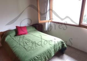 a bedroom with a green bed with a pink pillow at Hospedaje Cumbres Mendocinas-Depto Aconcagua in San Rafael